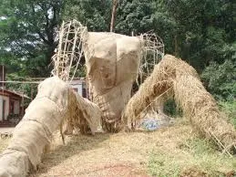 After covering it with jute sacks